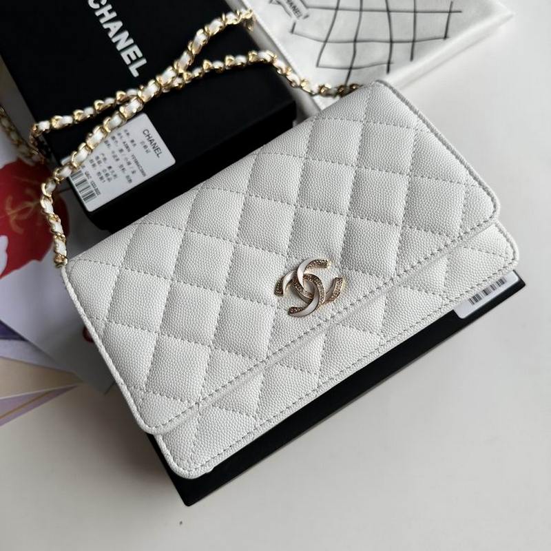 Chanel Handbags 666